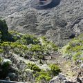 Descente dans l'enclos