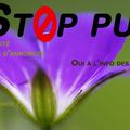 Stop la pub !!! Ou comment lier photo et geste intelligent