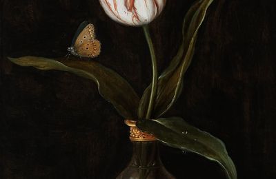 Balthasar van der Ast, Still life with a striped tulip in a glass vase, 1625