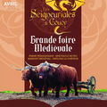 Sortie Grande Foire médiévale aux Seigneuriales de Coucy Dimanche 30 avril