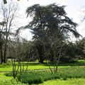 Pèlerinage au parc Oberthür à Rennes le 5 mars 2014 (1)