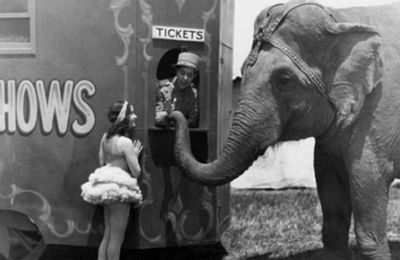 Rain or Shine de Frank Capra - 1930