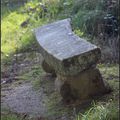 Le parc du Plessis-Chaudron en Mauges