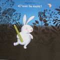 C'est la nuit ! de Magali Bonniol