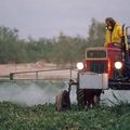  Pesticides  DANGER