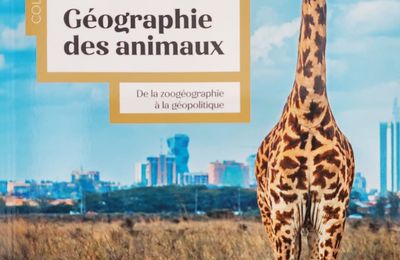 Nouveautés hiver 2024-2025