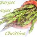 ~~ voici les premières asparagus acutifolius ~~