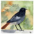 Rouge queue noir