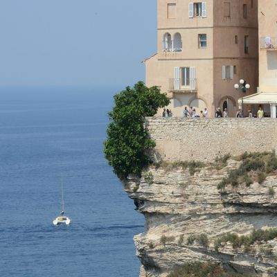 De retour!! avec les Aubergines à la Bonifacienne