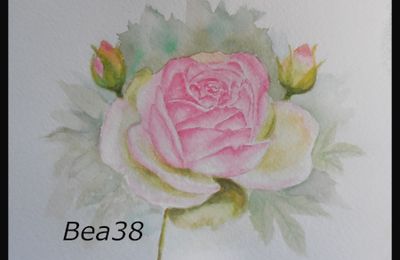 Aquarelle : rose 5 et fin des roses