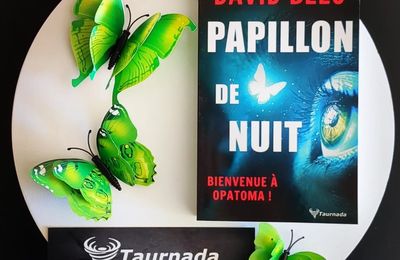 Papillon de nuit