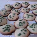 biscuits aux pépites de menthe 