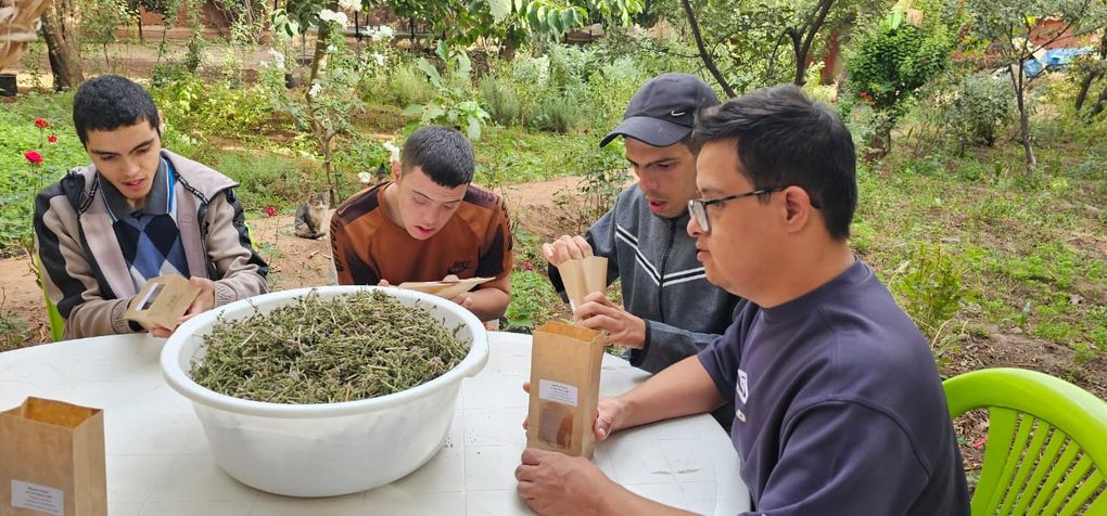 Opération conditionnement des sachets des plantes aromatiques ce mardi matin O.T.