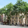 Les places de Gracia à Barcelone le 1er mai 2014 (4)