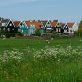 Une semaine aux Pays Bas (3) Marken