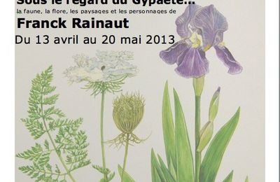 Franck Rainaut immortalise la nature au Musée des Arts et Traditions Georges Tabaraud à Contes 