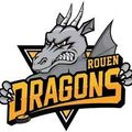 HOCKEY sur GLACE: Les Dragons de ROUEN champions de France pour la 14ème fois!