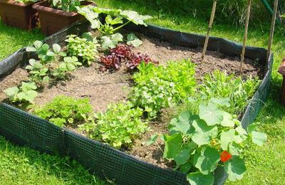 Le principe du potager en carrés