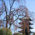 Kobo-san : le Marché aux Puces au temple Toji.