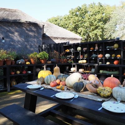 Le Potager Extraordinaire - La Roche-sur-Yon 🍆💮🍈🍅🥦🌻