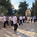 !! ATTENTION : la menace sur la mosquée al-Aqsa se fait de plus en plus pressante !!