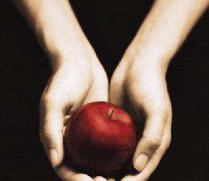 84/ Twilight : le livre, le film et des news pour la suite