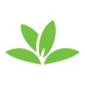PLANTNET: l'application smartphone pour reconnaître les plantes