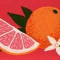 Orange et rose, le mood du jour.....