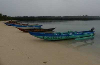 Séjour à l'est de Madagascar - découverte de l’île Sainte-marie et de l'île aux nattes