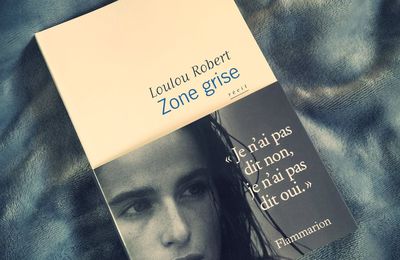 Zone grise- Loulou Robert