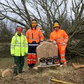 FORMATION BÛCHERONNAGE DE 3 JOURS DE L' ECOLE D'HORTICULTURE ET DU PAYSAGE DE ROVILLE AUX CHËNES. DU 4 AU 6 MARS 2019.