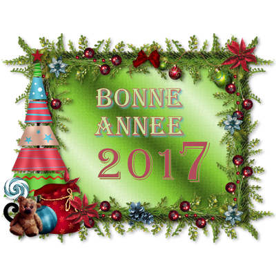 Bonne année