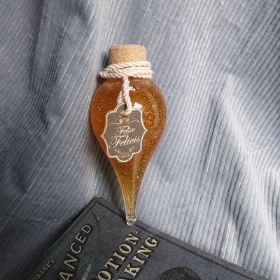 DIY du Félix Félicis 