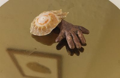 Le 27 juin, l'Eclosion s'est terminée, on est