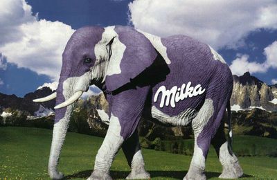 Gâteaux au chocolat "MILKA"