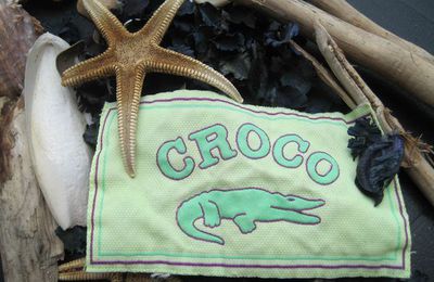 Bonjour Croco !