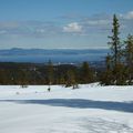 Trondheim's fjord