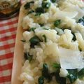 RISOTTO CHEVRE-EPINARDS