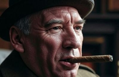 « Le budget Bayrou. Du sang et des larmes budgétaires et pourquoi ce n’est que le début ! ».