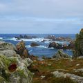 Ouessant, encore !