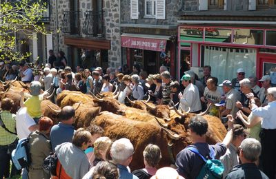 ALLANCHE 2010, la fête de l'estive