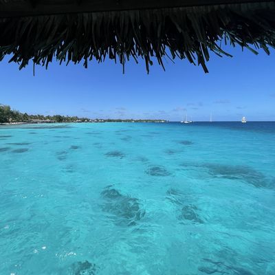 Mardi 23 juillet: attendre…