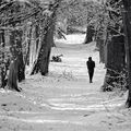 Solitude