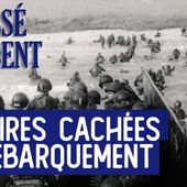 TVLibertés - 1ère chaîne de réinformation | Nous, c'est vous