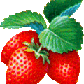 l'histoire de la fraise