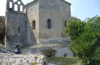  Fontvielle_L'Abbaye de Montmajour