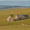 Hautes terres d'Aubrac