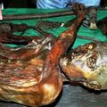 Ötzi, l'homme des glaces, est mort atteint par une flèche 