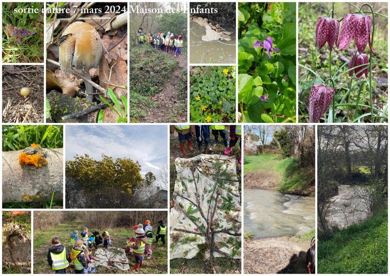 sortie nature jeudi 7 mars 2024