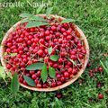 Fruits et légumes hors saison : y'en a marre !